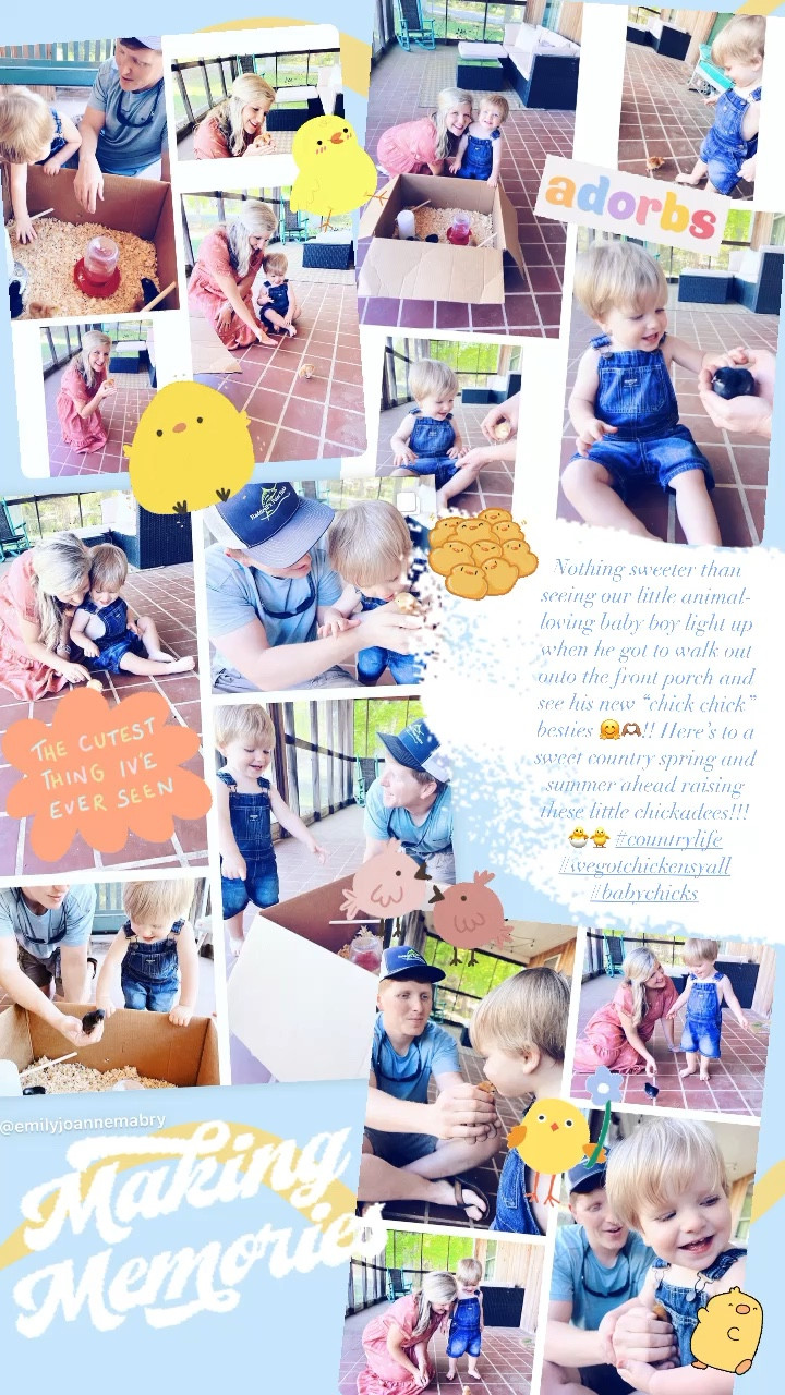 Nothing sweeter than seeing our little animal-loving baby boy light up when he got to walk out onto the front porch and see his new “chick chick” besties 🤗🫶🏽!! Here’s to a sweet country spring and summer ahead raising these little chickadees!!! 🐣🐥 #countrylife #wegotchickensyall #babychicks