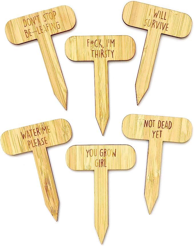 Funny Plant Markers - Joke Punny Garden Stakes - Ideal for That Garden Lover - Indoor Outdoor Pla... | Amazon (US)