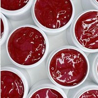 Burgundy Madness Pigmented Lipgloss/ 8Oz Jar/Pre-Made Lipgloss Wholesale Base/ Best Seller | Etsy (US)