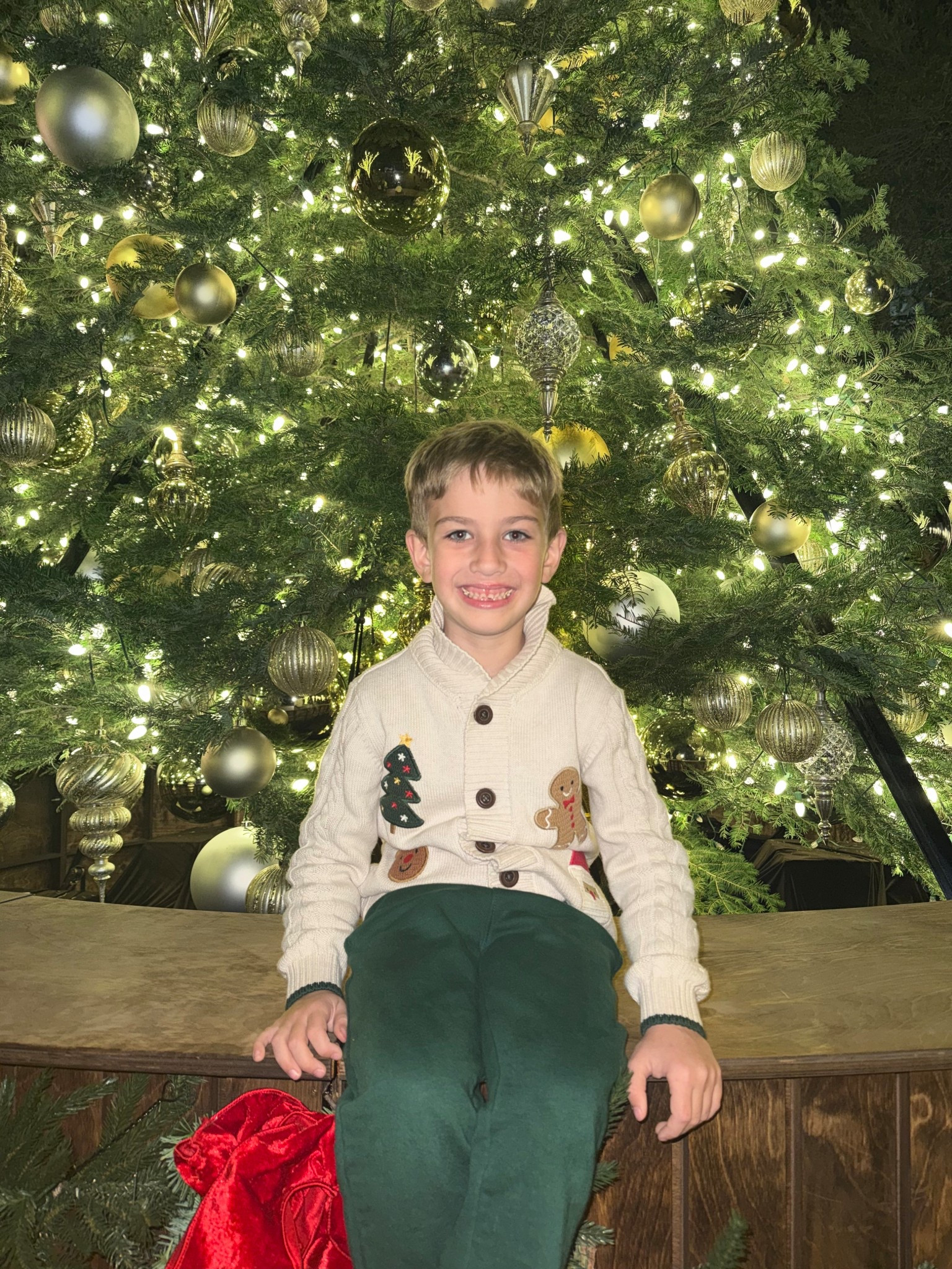 Beckham’s Christmas sweater is from Gymboree and you can order it on Amazon. 
Amazon | Gymboree | boys Christmas outfit | gift for boy | Christmas sweater | Hollietadams 

#LTKGiftGuide #LTKHoliday #LTKKids