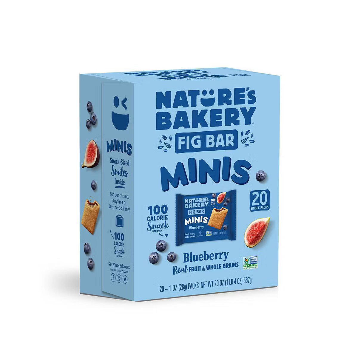 Nature's Bakery Blueberry Fig Bar MINIS - 20oz/20ct | Target