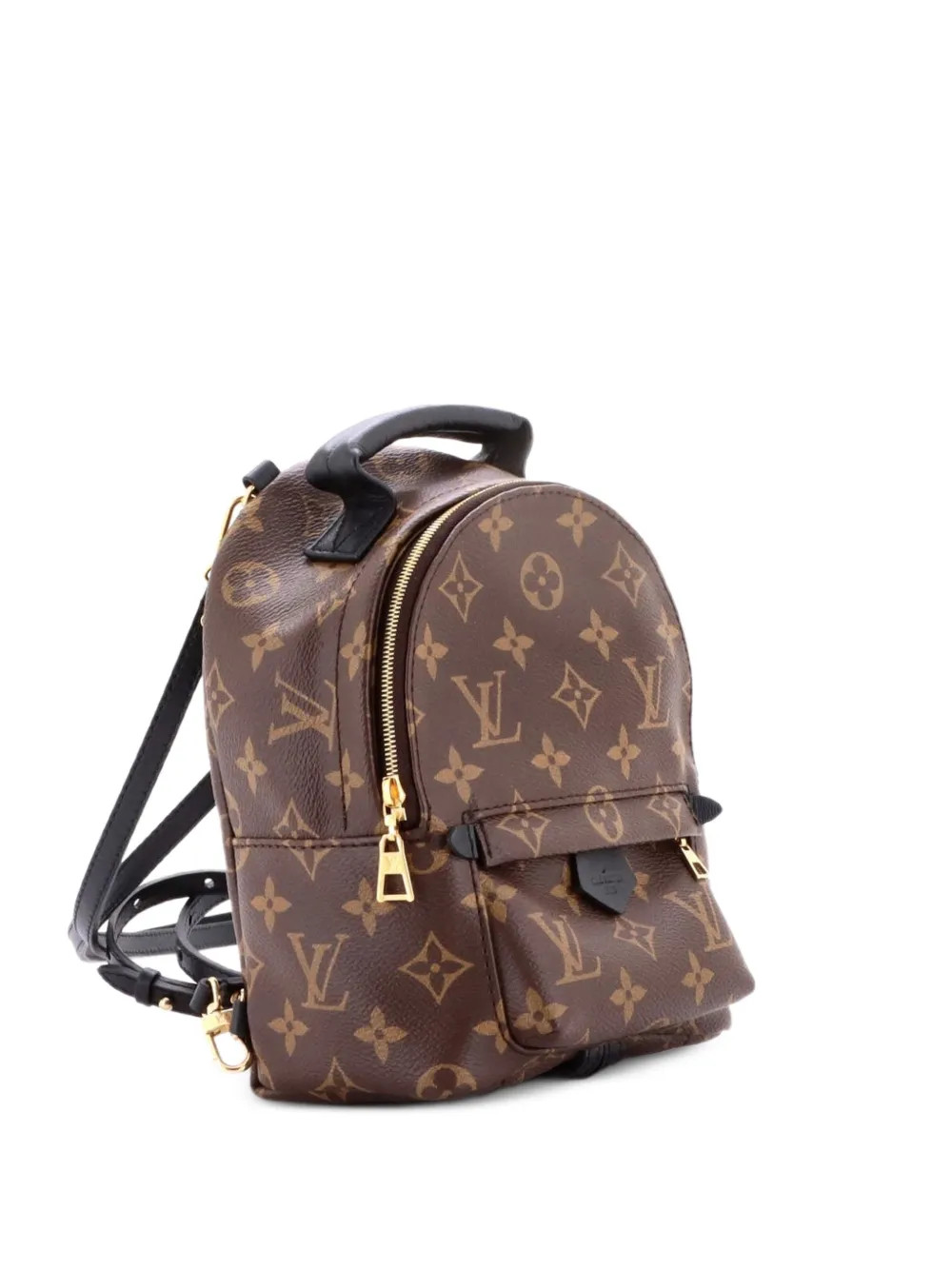 Louis Vuitton Pre-Owned Palm Springs Monogram Canvas Mini backpack - Brown | Farfetch Global