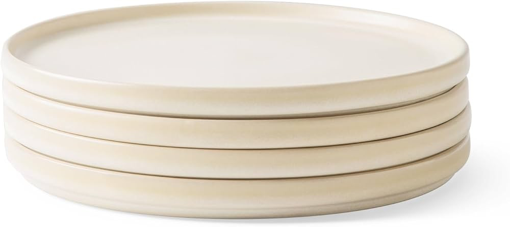 AmorArc Stoneware Dinner Plates Set of 4, 10.25 Inch Reactive Matte Glaze Ceramic Plates Set, Mod... | Amazon (US)