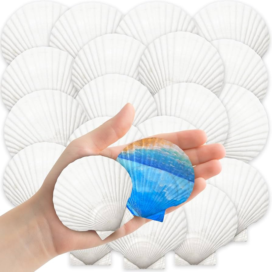 YUJUN 32PCS Natural Scallop Shells,2''-3'' White Seashells Bulk for Crafts DIY Painting Baking an... | Amazon (US)