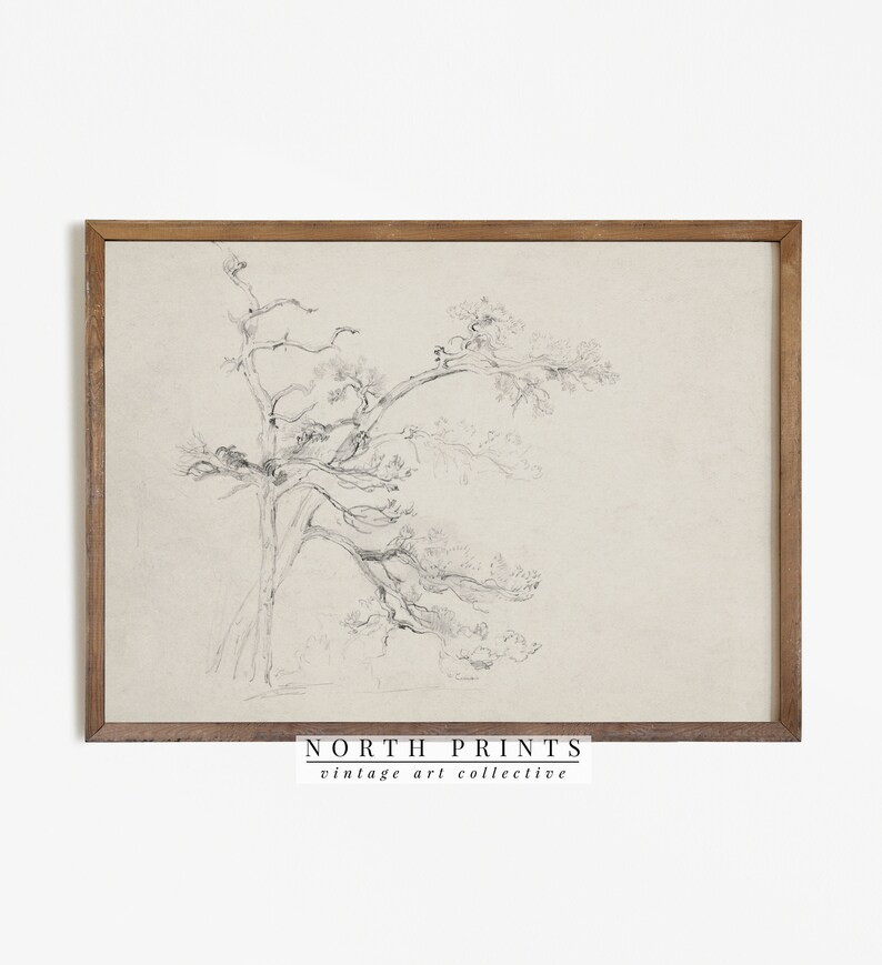 Vintage Minimalist Neutral Rustic Tree Drawing | PRINTABLE Digital Downloadable | 933 | Etsy (US)