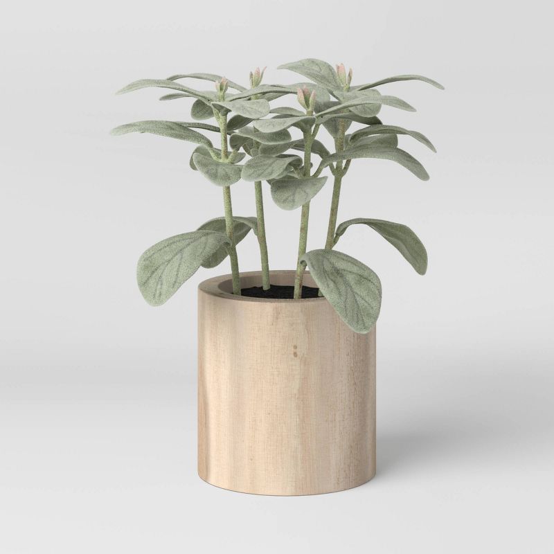 Sage on Wood Pot - Threshold™ | Target