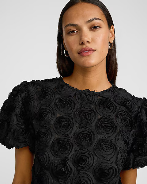 Rosette Crew Neck Puff Sleeve Top | Express