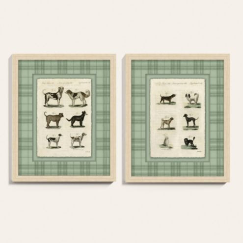Carson Kressley Dog Party Art | Ballard Designs, Inc.