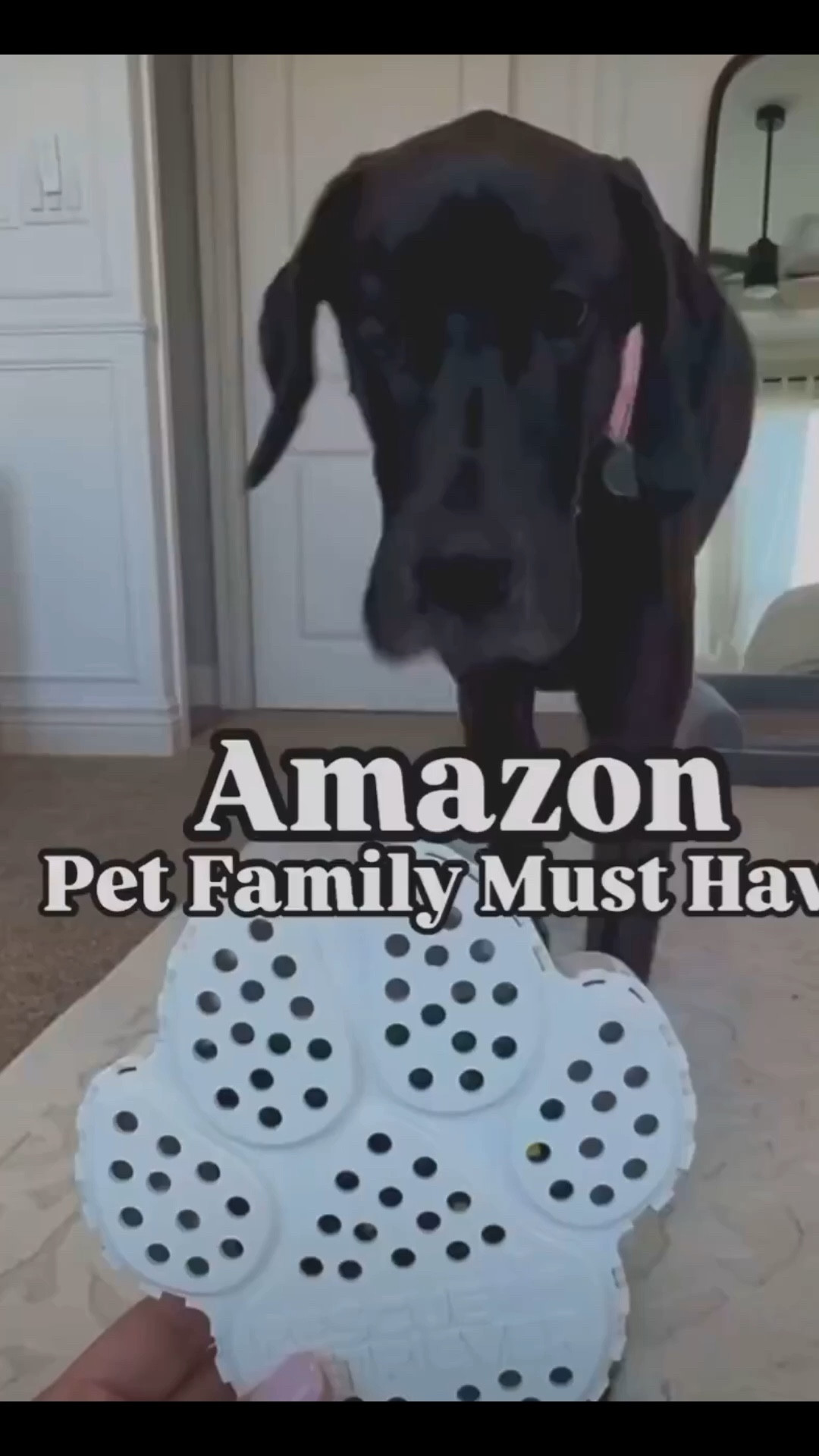 Every pet parent NEEDS! 🐾

Dog mom, pet parent, pet safety, pet find, pet home
#liketkit #LTKFamily 
#liketkit #LTKFindsUnder50 #LTKHome

#LTKTravel #LTKFindsUnder100 #LTKmomlife