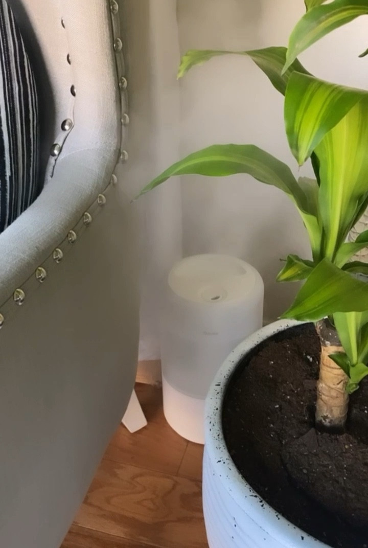 Wifi enabled humidifier is perfect for plants, kid’s rooms and the whole house in general. Currently on sale with an additional 5% off coupon. 


#LTKfamily #LTKunder50 #LTKhome