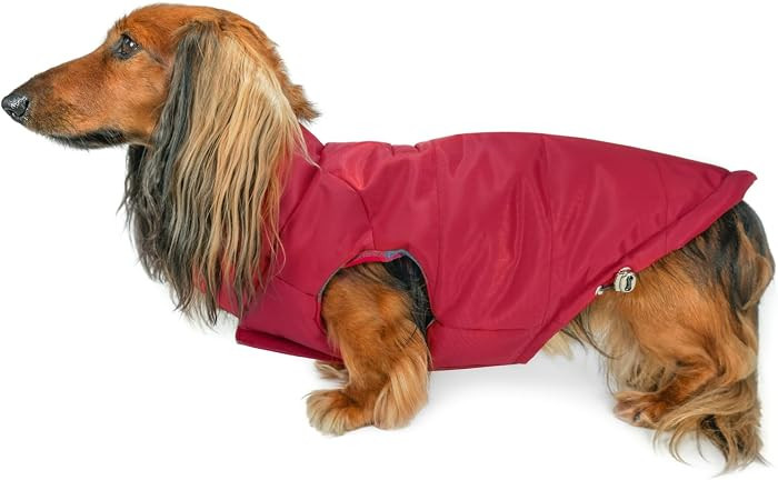 DJANGO Reversible Puffer Dog Coat – Warm Winter Dog Jacket & Water-Repellent Insulated Dog Coat... | Amazon (US)