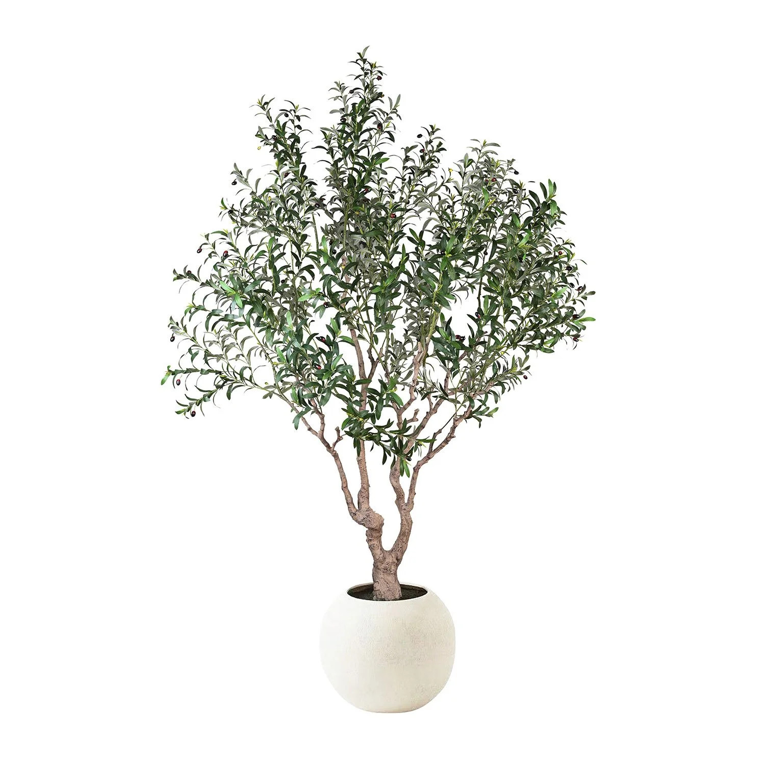 Member's Mark Faux 8' Deluxe Olive Tree in Oversized Cream Pot - Samsclub.com | Sam's Club
