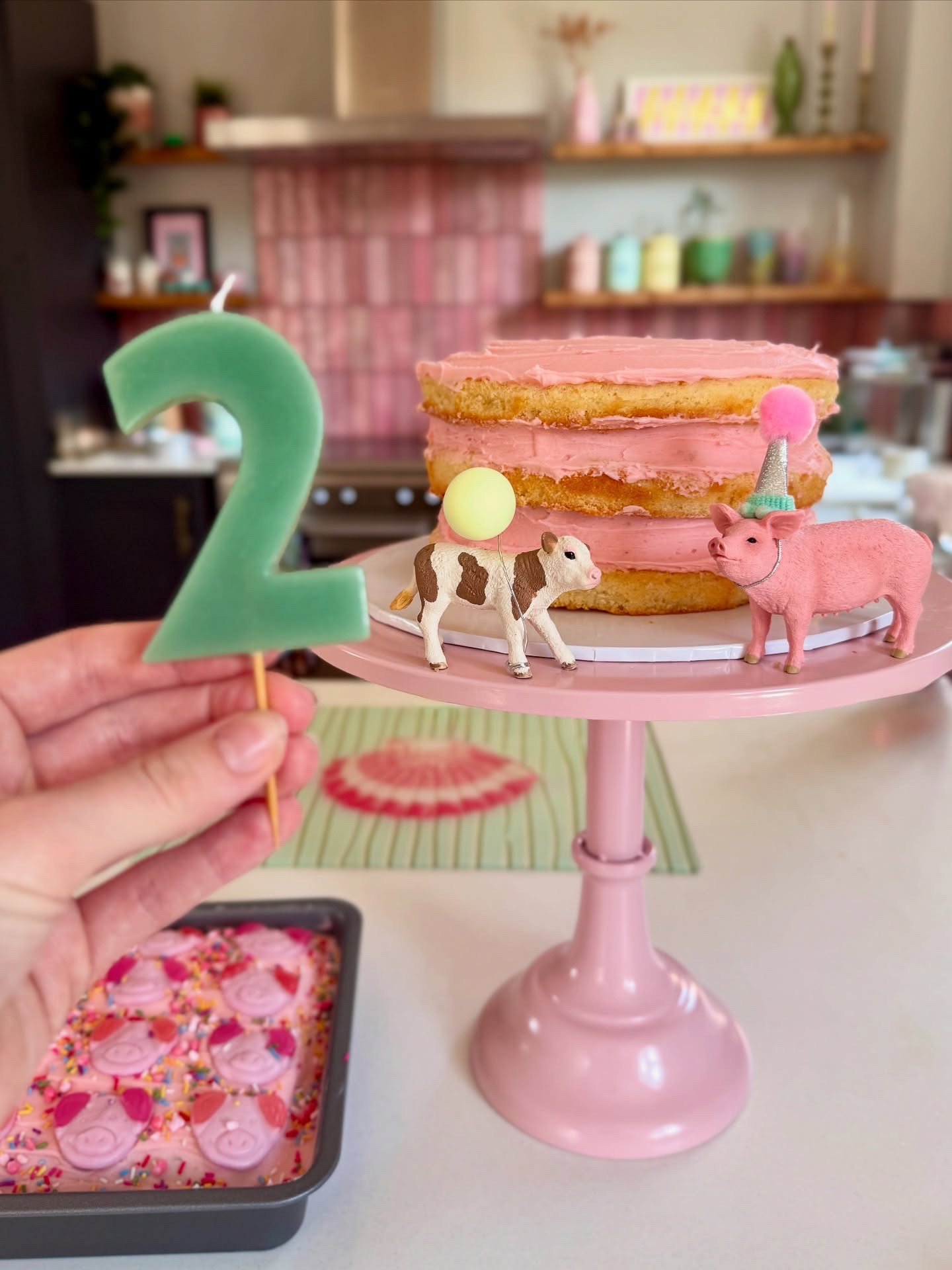 Oink cluck baa moo 🐷🐮🐔 Aubrie turns 2! 

The cutest day celebrating our little girl 🍰🍭🍓