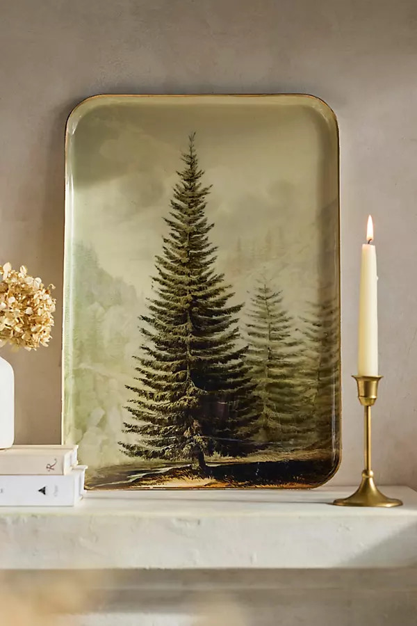 Printed Archival Tray, Extra Large | Terrain