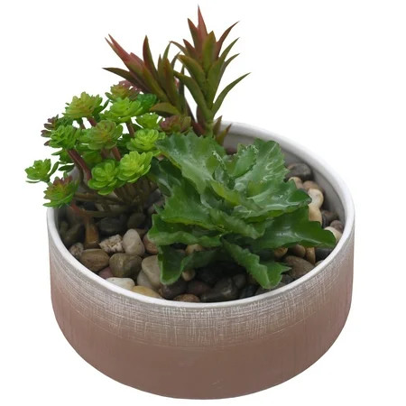 Admired By Nature Coffee two toned ombre ceramic tray, Planters for Succulent and Little Snake Plant | Walmart (US)