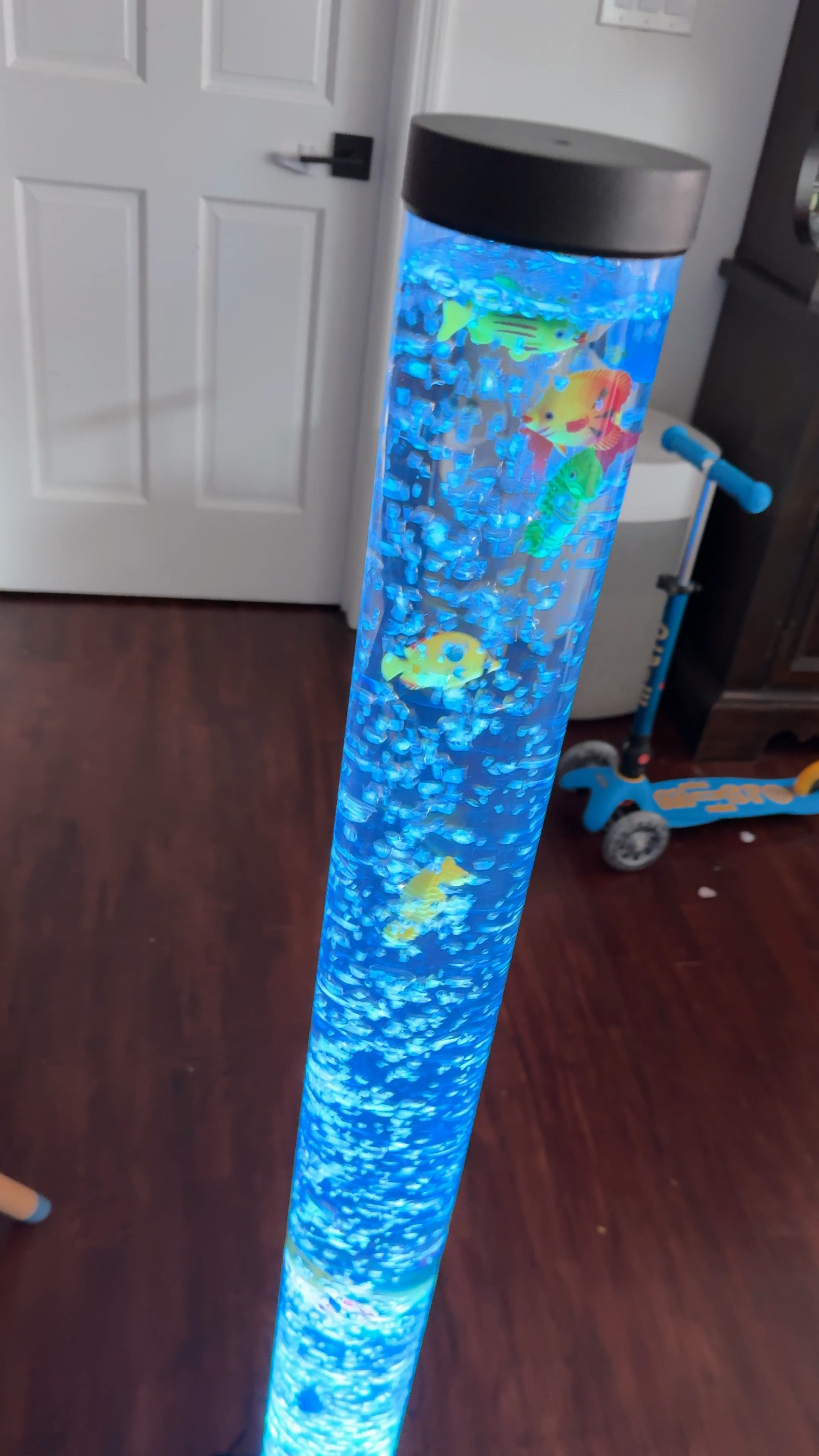 No maintenance the best entertainment for your kids! This “fake” fish tank toy takes very little space but keeps them occupied for a while. Use distilled water to keep it clean  

#LTKMostLoved #LTKHome #LTKKids