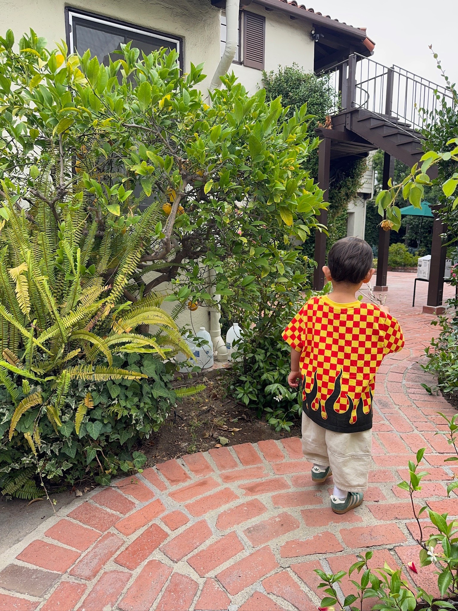 Molo shirt & adidas shoes 🧡

#LTKKids #LTKStyleTip