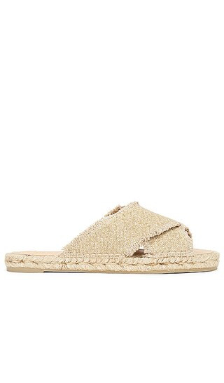 Palmera Sandal in Oro Claro | Revolve Clothing (Global)