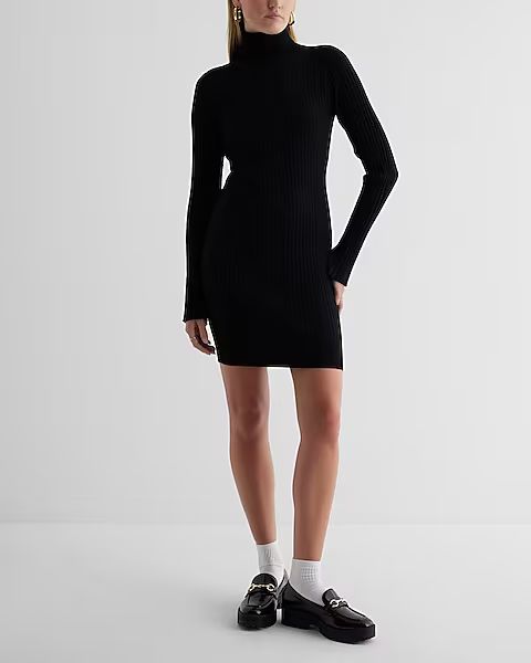 Ribbed Turtleneck Long Sleeve Mini Sweater Dress | Express