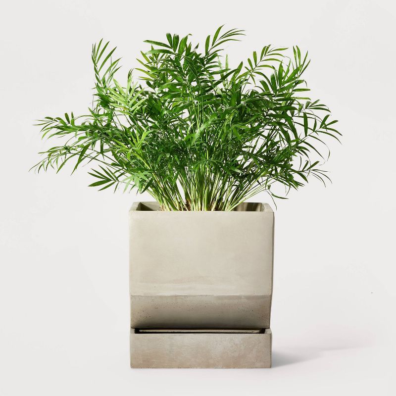 10" Wide Self-Watering Square Concrete Outdoor Planter Pot - Hilton Carter for Target | Target