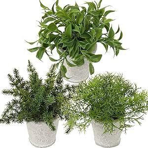 Briful Small Fake Plant Decor Artificial Potted Plants Set of 3 Faux Eucalyptus Rosemary Plants i... | Amazon (US)