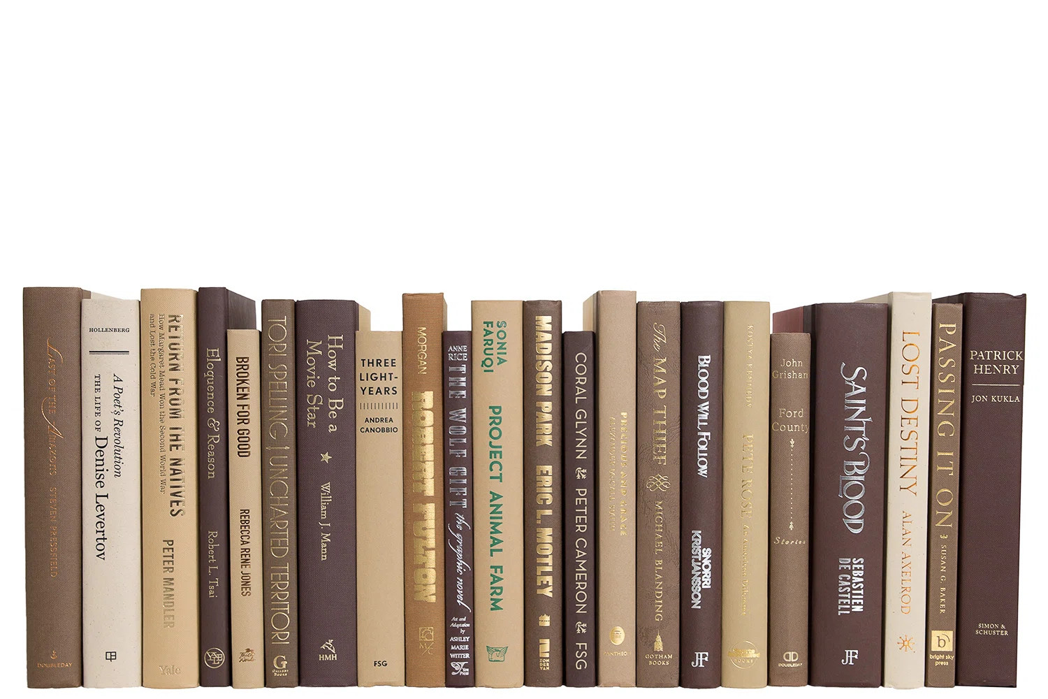 Modern Chocolate: Color By The Foot | Wayfair North America