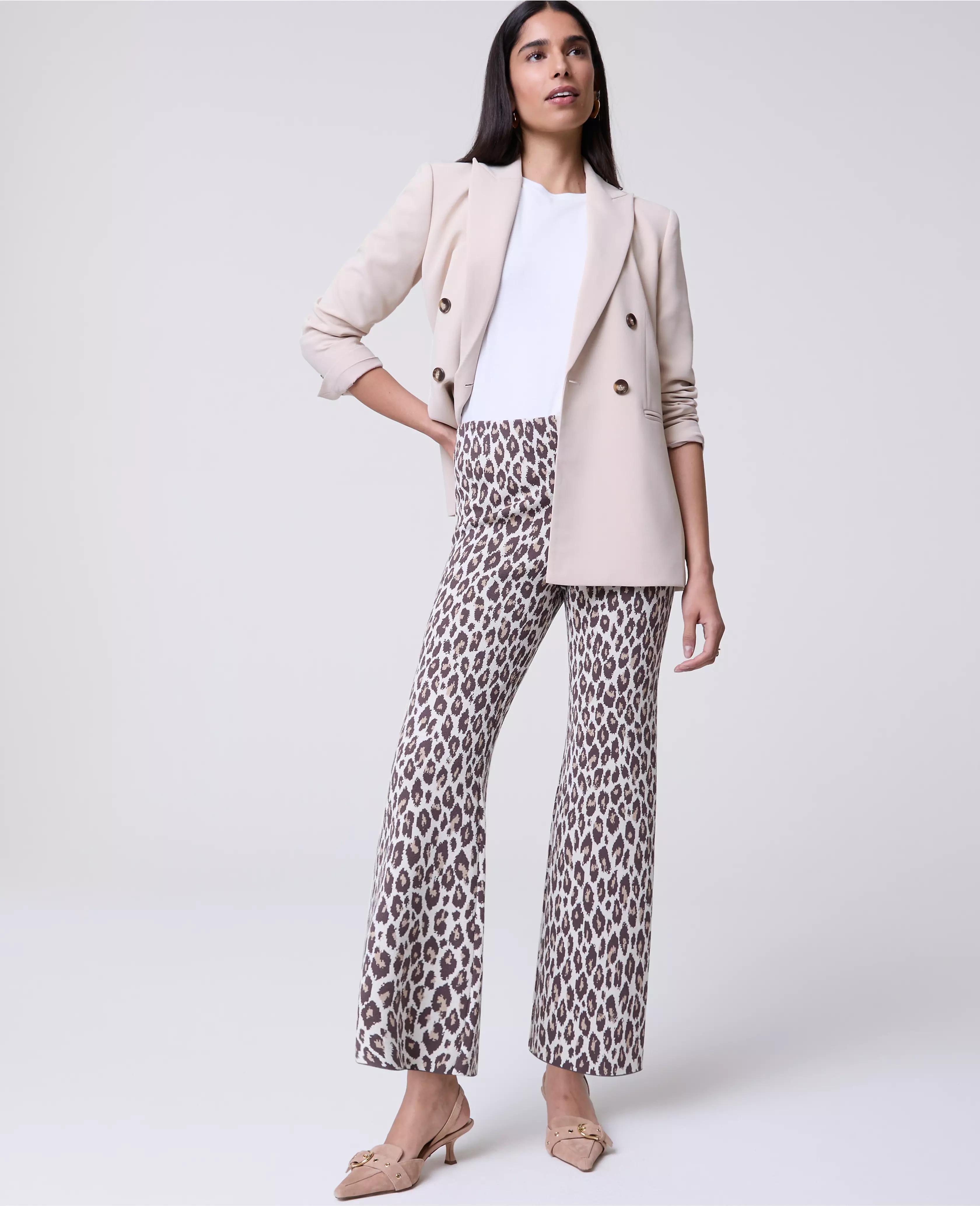 Petite Animal Print Sweater Pant | Ann Taylor