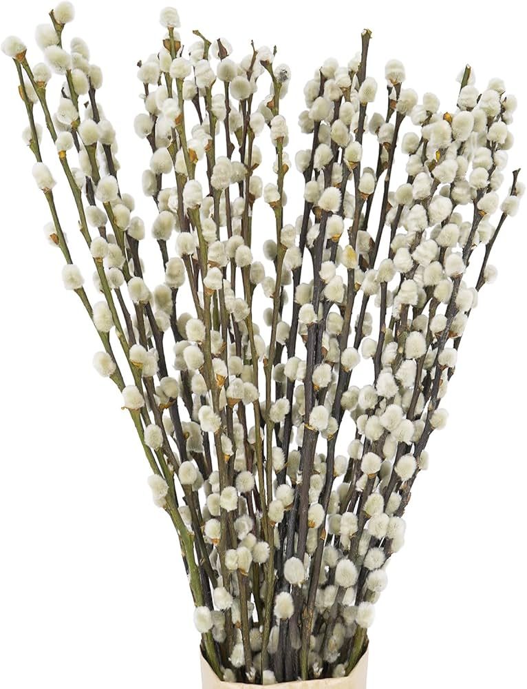 40 Stems 17.5 Inches 100% Natural Dried Pussy Willow Branches for Vases Real Pussy Willows Dried ... | Amazon (US)