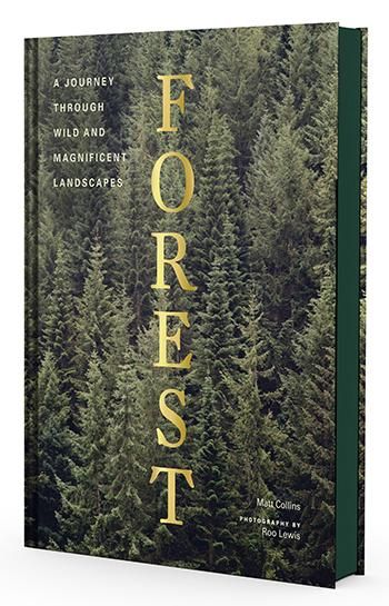 Forest by Matt Collins | Burke Decor