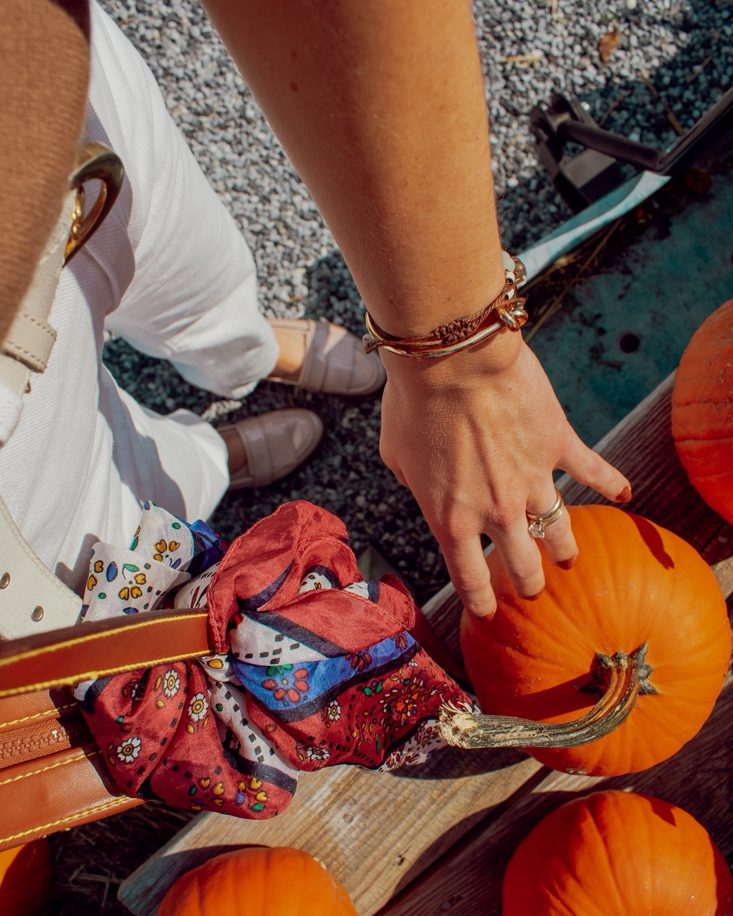 fall with the fam 🤎🍂✨ #fallinspo #photography #fallphotography #westcapemay #limabeanfestival