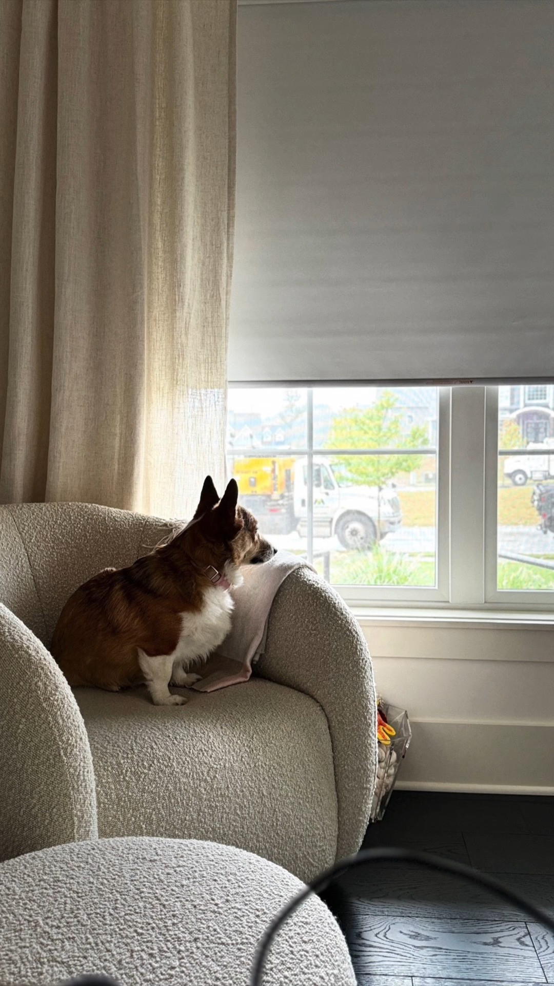 Can we stay the same? 

#corgi #chandelier #light #lighting #ad 

 #LTKHome #LTKPets #LTKWedding