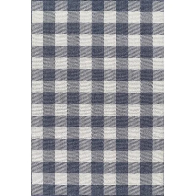 Riko Gingham Blue/White Indoor / Outdoor Area Rug | Wayfair North America