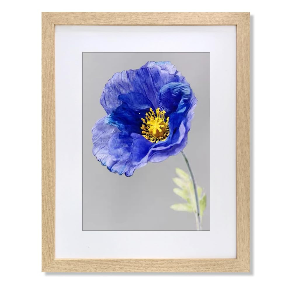 VNVNK 18x24 Frame Natural Wood Color Picture frame-1 PCS, Perfect for 18x24 Inch Picture without ... | Amazon (US)