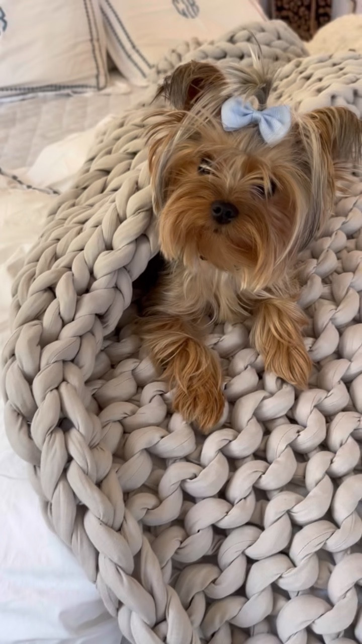 Y’alll. This @mybearaby cotton napper is the gold standard for weighted blankets!!! 100% cotton. Doesn’t get too hot. Perfect for a holiday present for a loved one or yourself. I have used it nonstop since it arrived in the mail. My only complaint is that it’s heavy going up and down the stairs: already thinking I need another 😂

✨ Calms your nervous system.

✨ More restful sleep.

✨ Made of organic cotton. 

✨ Natural and sustainable.

✨ Machine washable.

Learn more about this blanket and other @mybearaby products by checking out my shop in the LTK app. #ad 

#LTKHoliday #LTKhome #LTKVideo