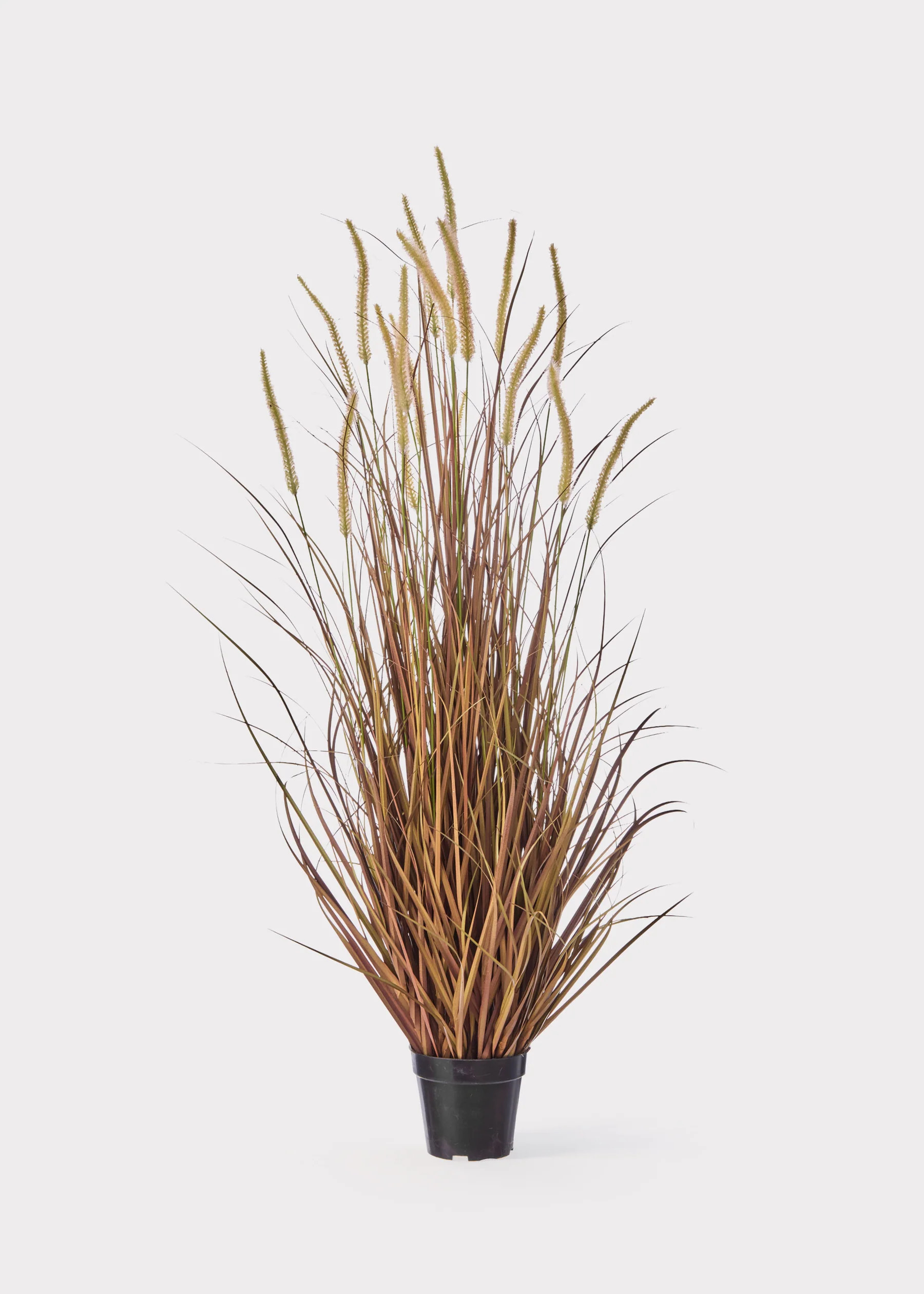 UV Treated Potted Grass Plant | Fake Outdoor Plants for Fall | Afloral | Afloral