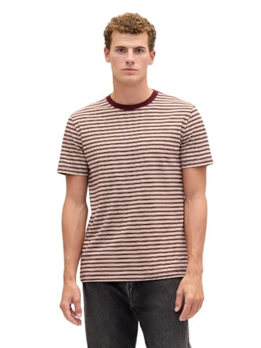 GAP Men's Everyday Soft Stripe Crewneck T-Shirt Tee, Tuscan Red, Medium | Amazon (US)