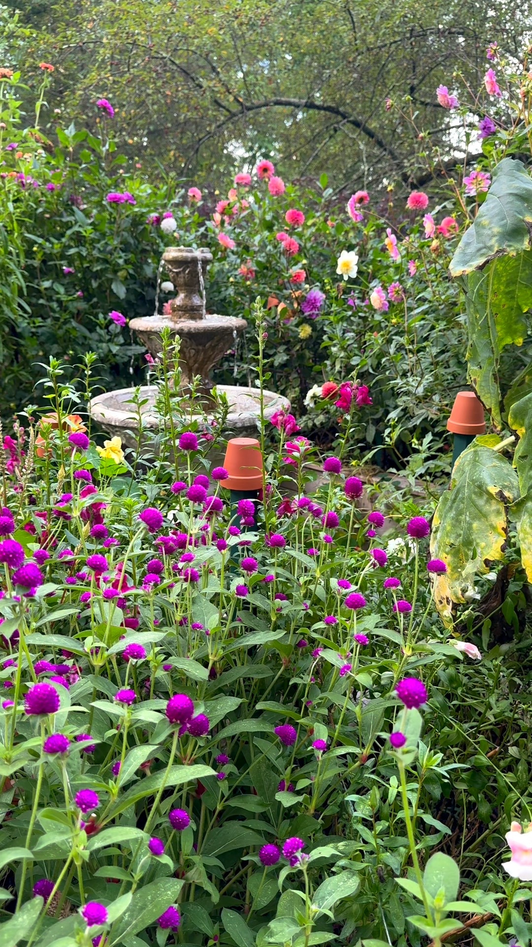 Two years ago, we invested in this fountain, and it was one of the best decisions for our garden. The tranquil sound of the water completely transformed the space and made it feel so much more peaceful. I could sit out here all day!
If you've been thinking about adding one to your outdoor space, I've linked a bunch of beautiful concrete fountains for you to browse on my LTK.
 

Fountain, water feature, garden ideas, flower garden 

#LTKHome #LTKSeasonal #LTKSaleAlert