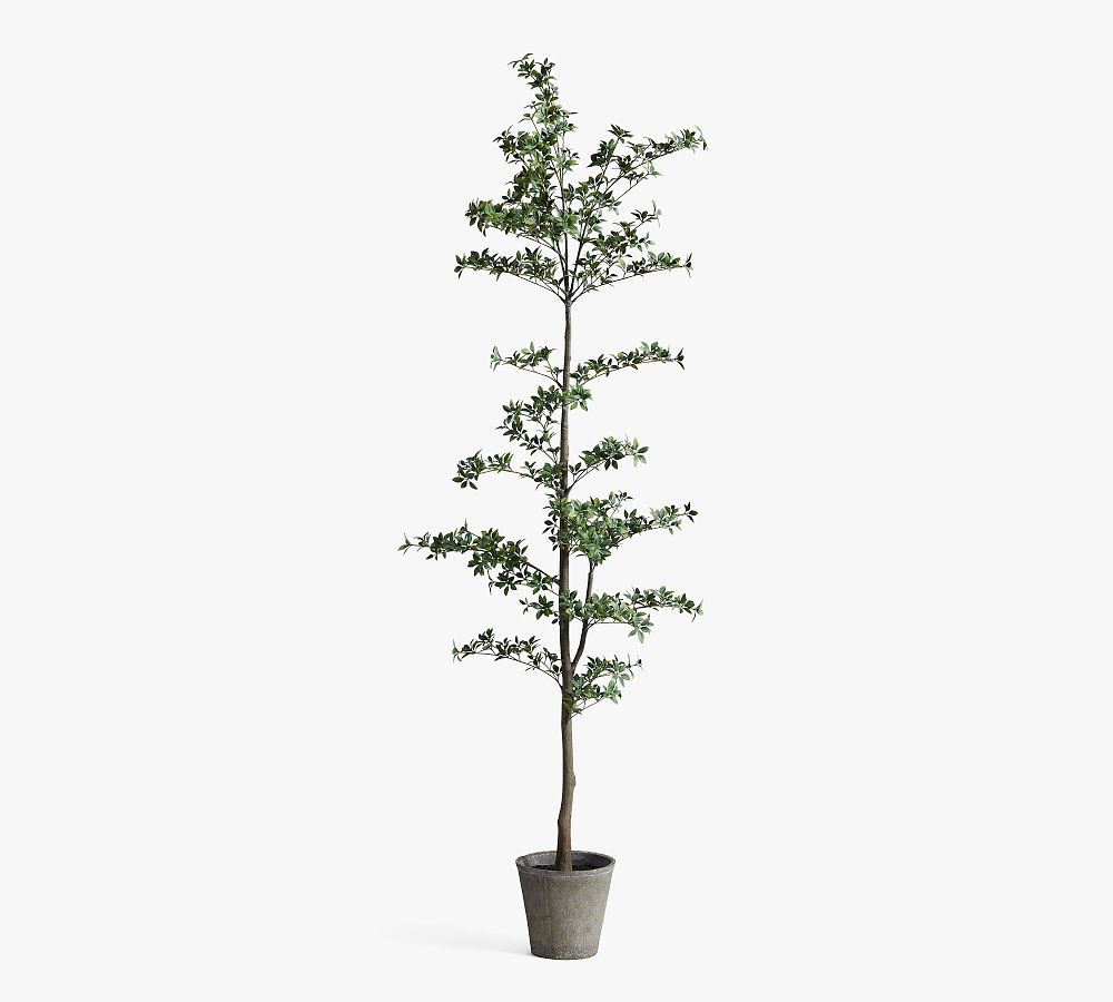Faux Black Olive Tree, Mini Leaf, Green | Pottery Barn (US)
