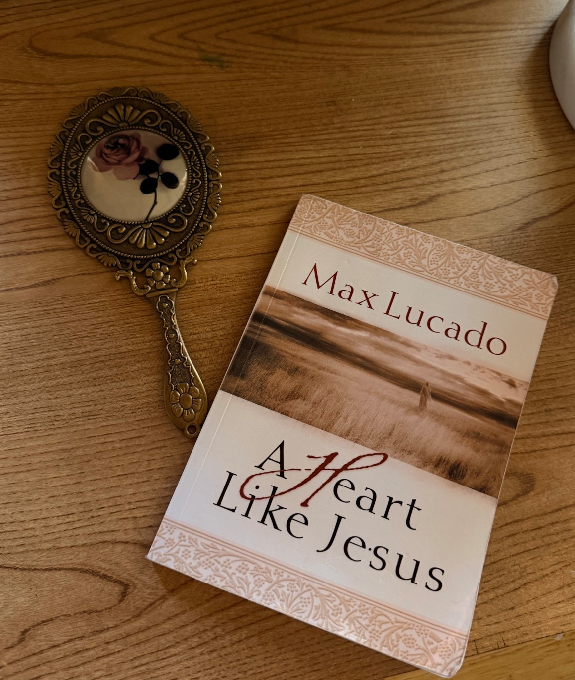 A Heart Like Jesus by Max Lucado

#LTKdayinmylife #LTKTravel #LTKstorytime