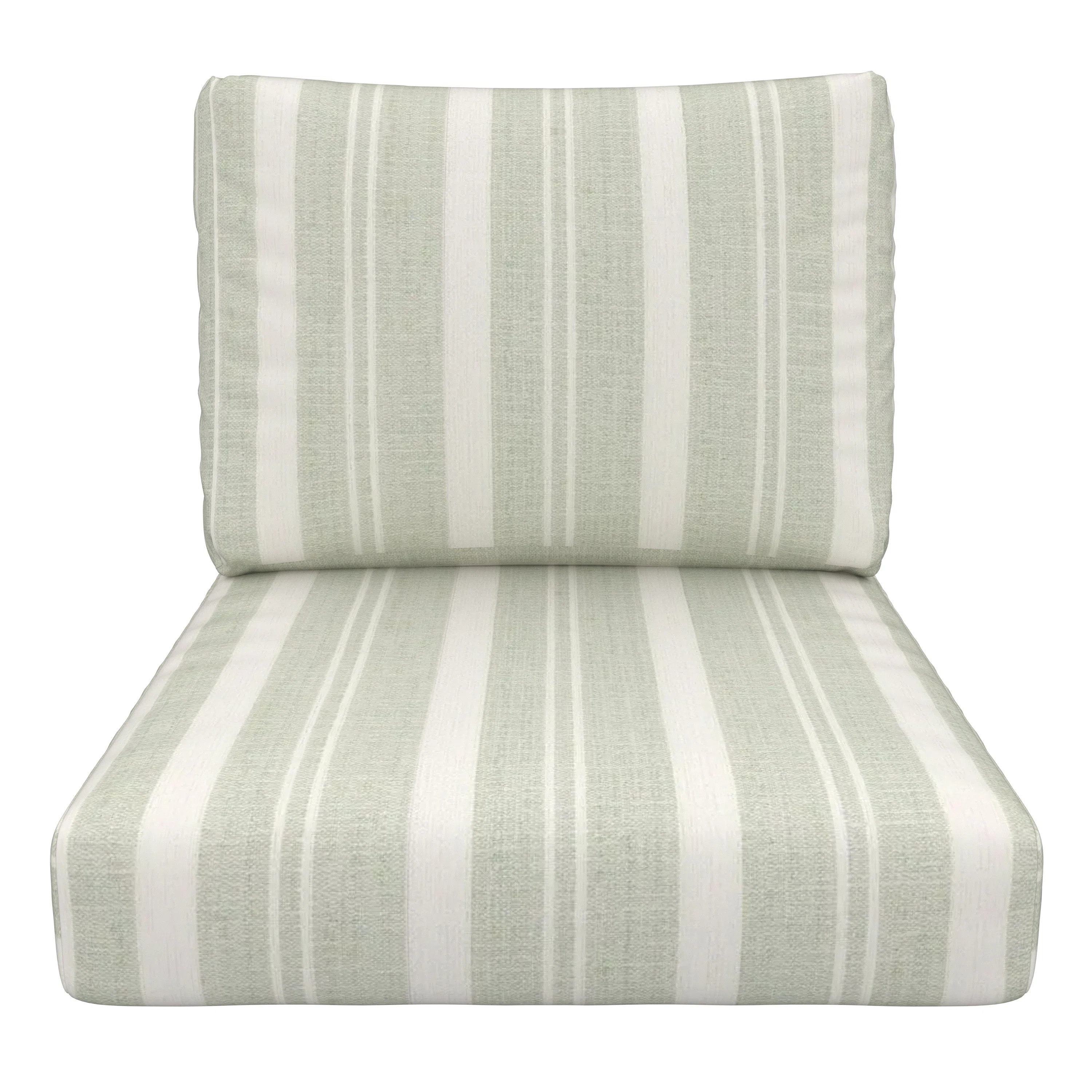 Amala Indoor/Outdoor Sunbrella® Cushion | Birch Lane