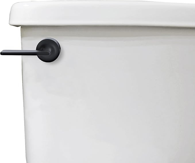 Danco 12052 Toilet Tank Lever, Matte Black | Amazon (US)
