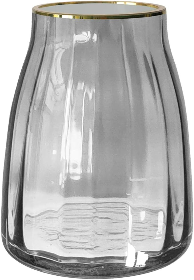 Senliart Clear Gilded Glass Vase, Grey Table Centerpiece Flowers Vase 7(H) x 5.5(W) | Amazon (US)
