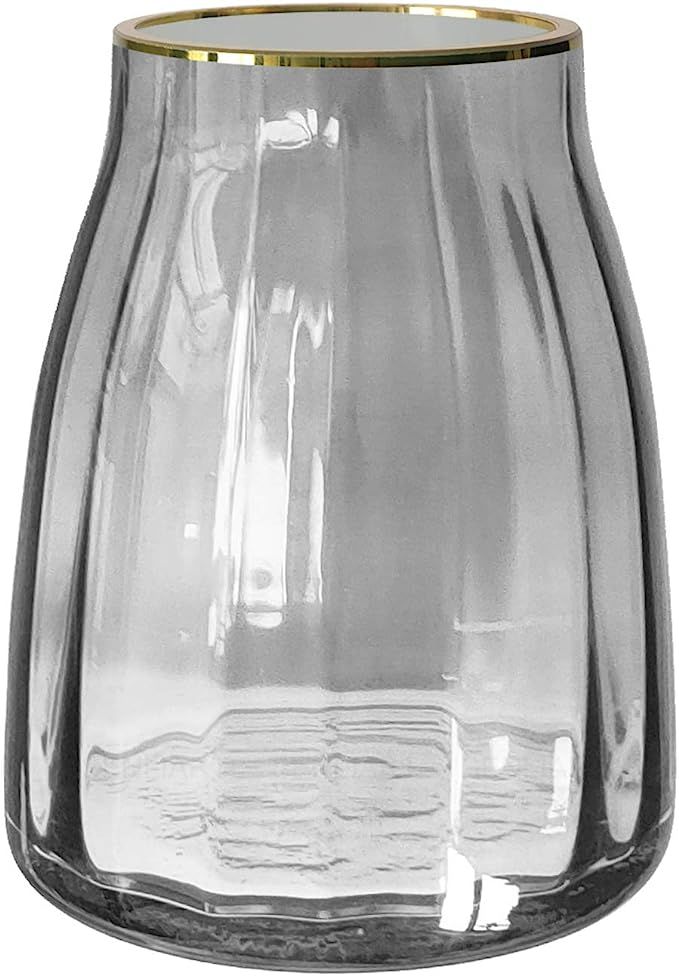 Senliart Clear Gilded Glass Vase, Grey Table Centerpiece Flowers Vase 7(H) x 5.5(W) | Amazon (US)