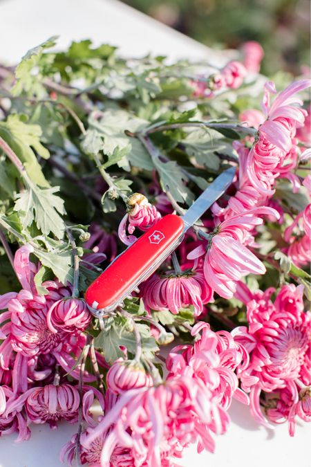 Gift idea alert!! The best Swiss Army Knife under $50 — it’s so handy we use it every day! Garden tools, mom life, gardening, flower farm, floral tool, florist, floral arrangement 💐

#LTKGiftGuide #LTKfindsunder50 #LTKHoliday