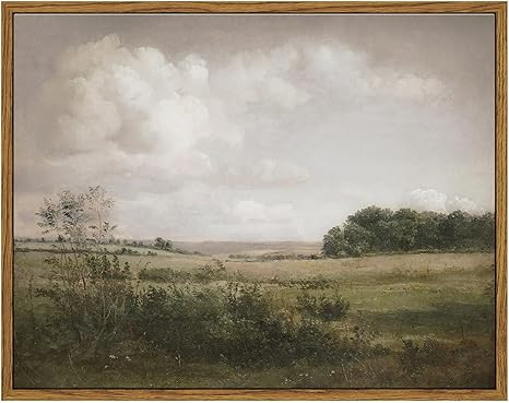 VIYYIEA Vintage Landscape Framed Wall Art, Nature Wilderness Scenery Paintings Decor Aesthetic, C... | Amazon (US)