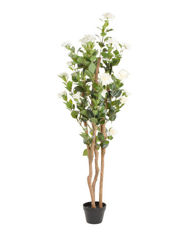 64in Outdoor Safe Camellia Tree | Home Essentials | Marshalls | Marshalls