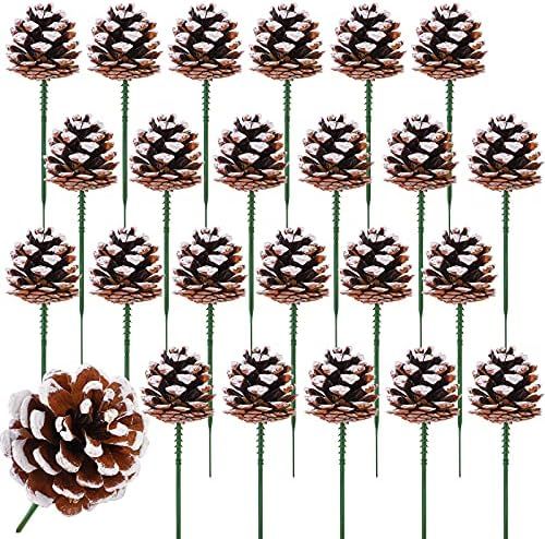 Mooncane 24 Pieces 2 Inch Christmas Natural Pine Cones Snow Tipped Natural Pine Cone Pinecone Orn... | Amazon (US)