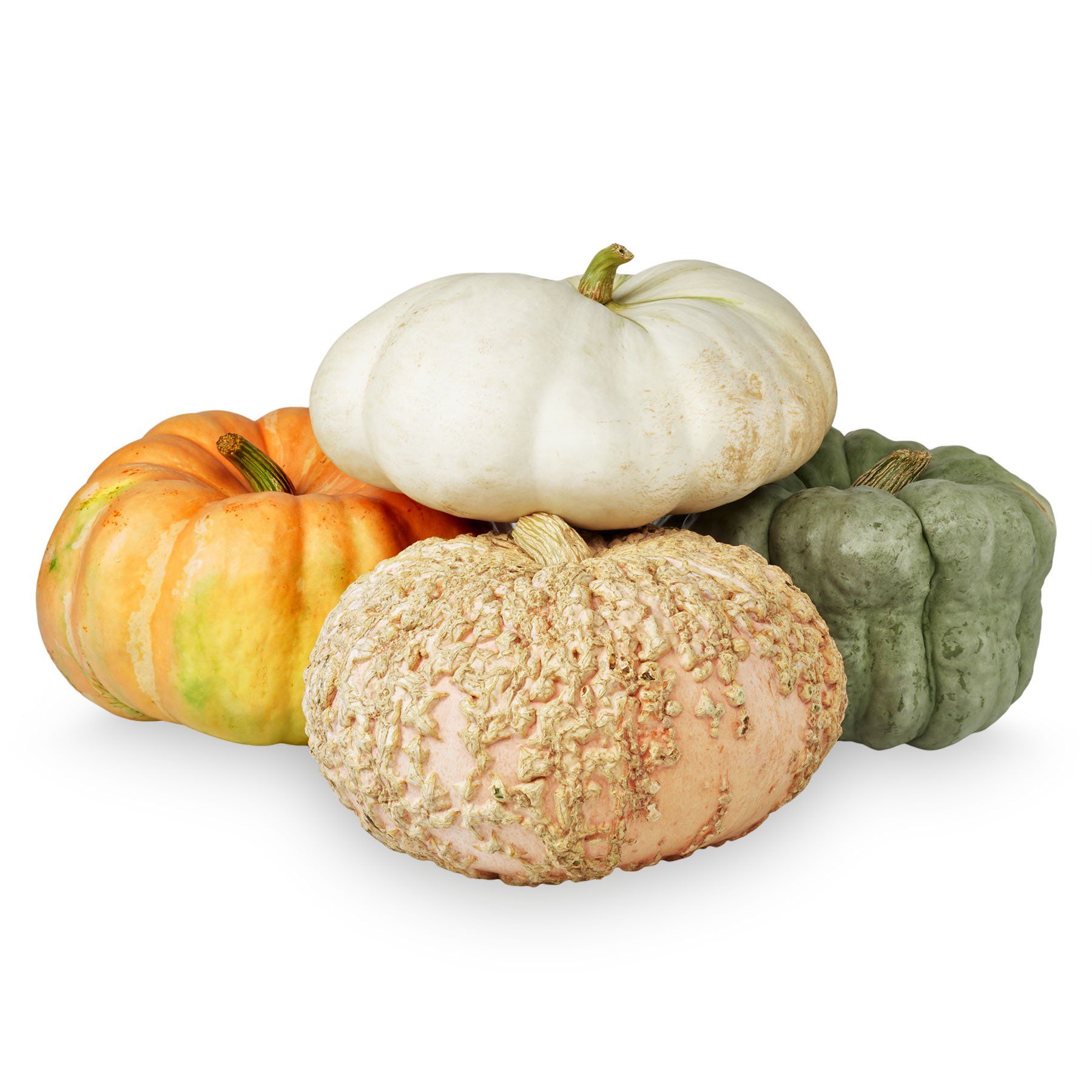 Autumn Color Pumpkins, Each (Color and Variety May Vary) | Walmart (US)