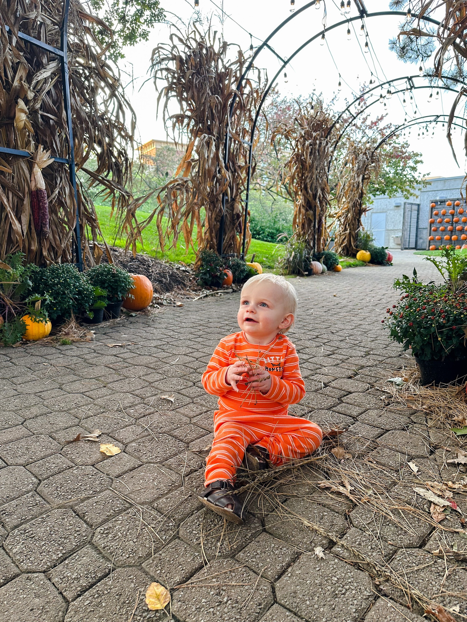 Carter’s Halloween Shop - up to 70% off! 🦇🎃💀👻

#LTKbaby #LTKHolidaySale #LTKHalloween