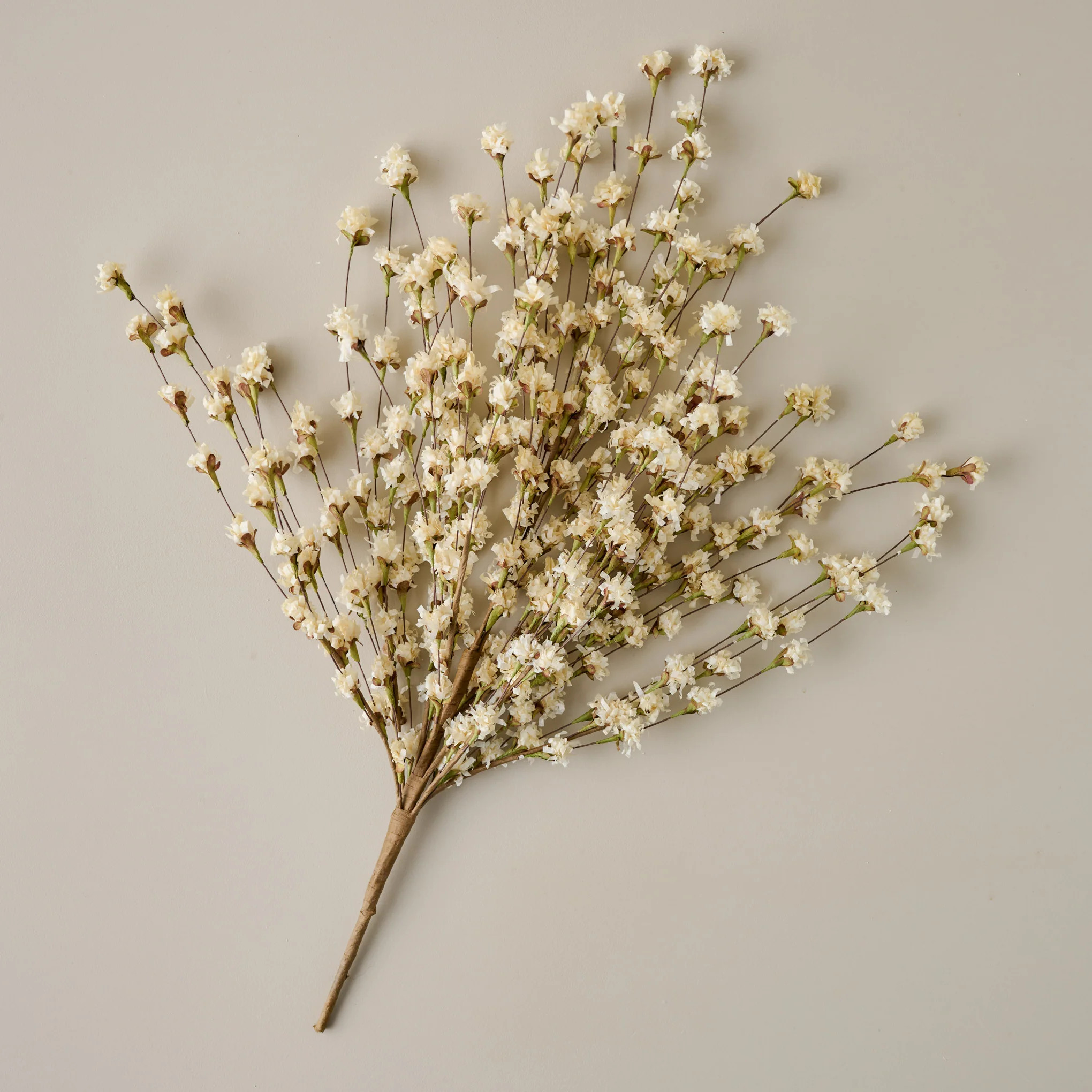 Cream Wildflower Mix | Magnolia